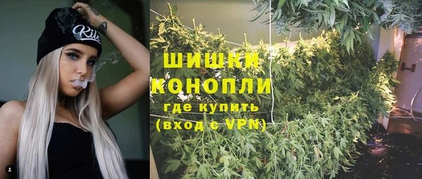 ГАЛЛЮЦИНОГЕННЫЕ ГРИБЫ Балахна